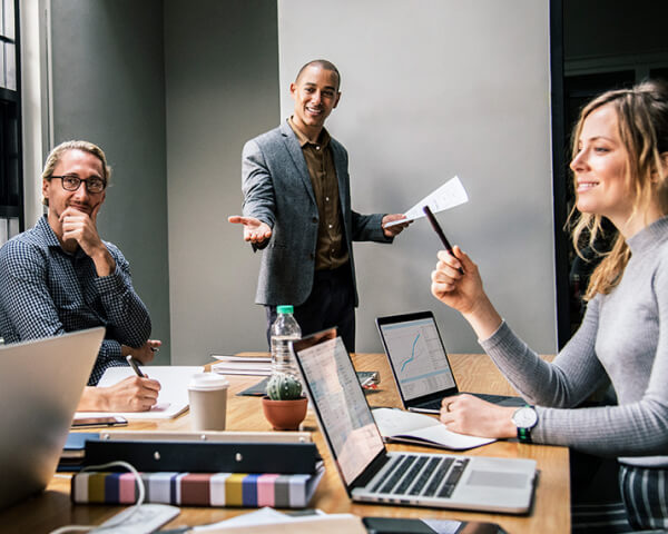 ליווי מקצועי לרואי חשבון